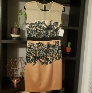 New York and co sleeveless dress size 6